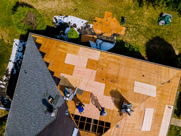 Best New Roof Installation  in Mancelona, MI